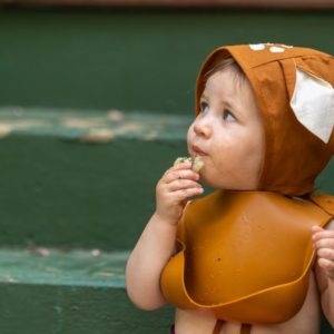 Silicone Feeding Bib