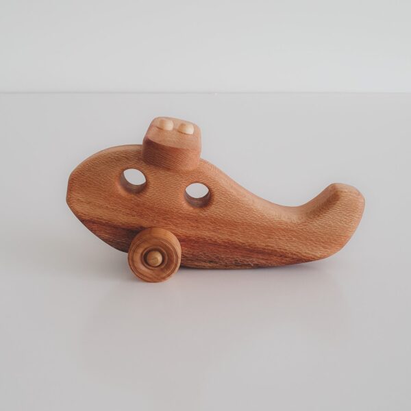 Windy Hill Adventures Wooden Plane